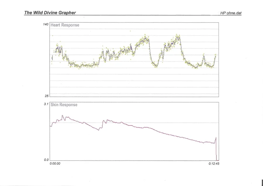 Biofeedback – Auswertung und Analysen
