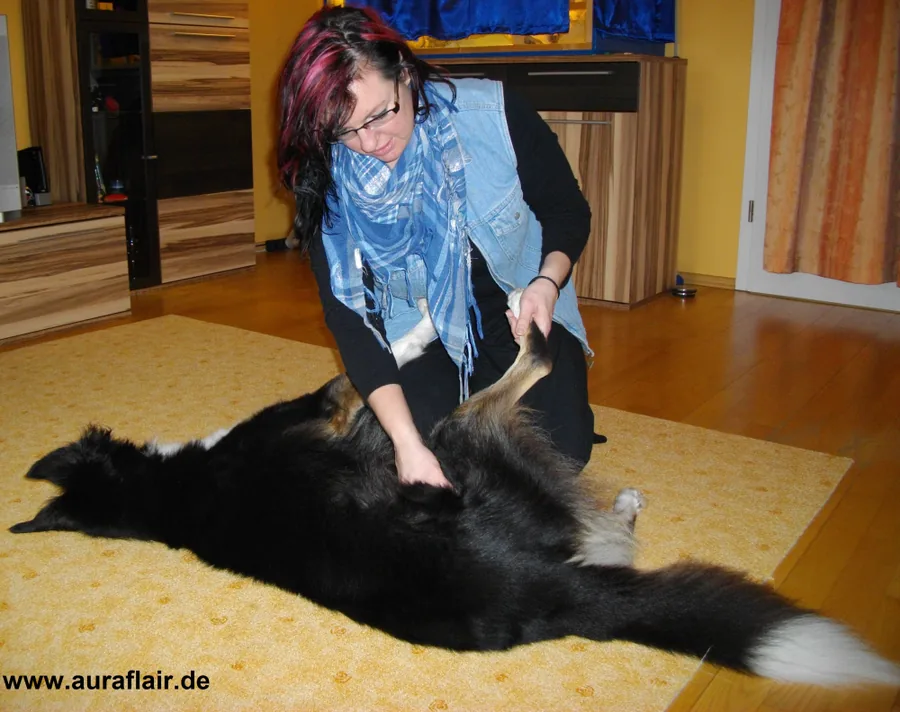Individuelles Training & Bewegungsbegleitung