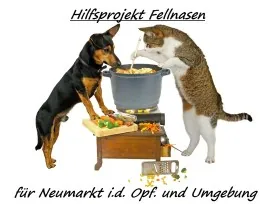 Hund und Halter beim Hilfsprojekt Fellnasen