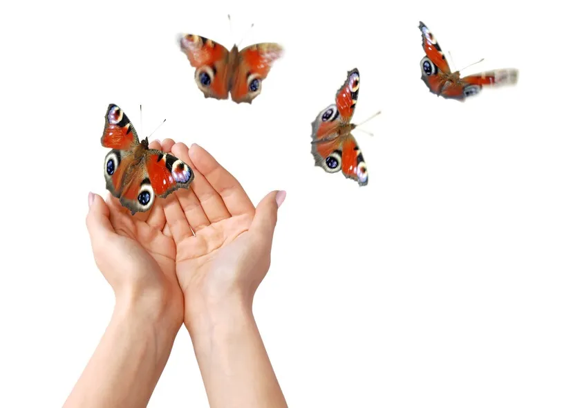 EMDR – Ressourcenaktivierung
